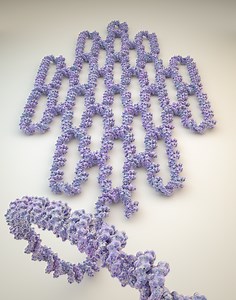 Single-stranded DNA and RNA origami go live