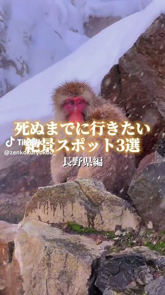 長野の冬に訪れたい絶景スポット