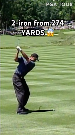 Just Tiger Woods things 🐅
