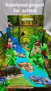 rainforest project for school