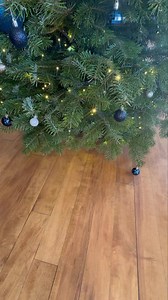 Christmas has arrived at The Bradgate and our festive menus are already in full swing! Pop down today, book online via thebradgate.co.uk or call us on 01530 242239 Open all day from 10am for drinks. Serving lunch between 12-2:30 and dinner 5-9! We look forward to seeing you! #merrychristmas #newtownlinford #thebradgate #gastropub #december | The Bradgate at Newtown Linford | Facebook