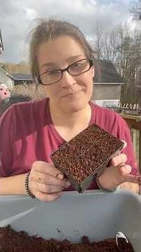 Simple Seed Starting Tips so you can Have Successful Seedling to Plant in your Garden