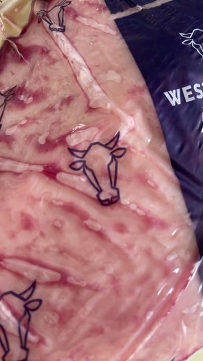 ravensymone on TikTok