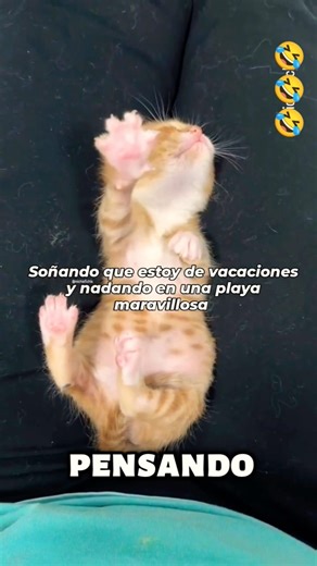 Es muy divertido 😂😂😂 #funny #viral #shorts #trending #humormexicano #laughing #humorlatino #shorts