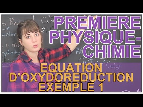Oxydant, réducteur et équation d'oxydoréduction : Ex 1 - Physique-Chimie 1ère - Les Bons Profs