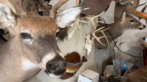 Hunters filling the plates of those in need this season