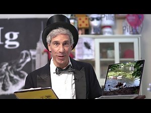 The 31st First Annual Ig Nobel Prize Ceremony 2021 (Refuniculared)