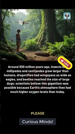 When Insects Ruled the Earth: The Era of Giant Bugs and Sky-High Oxygen