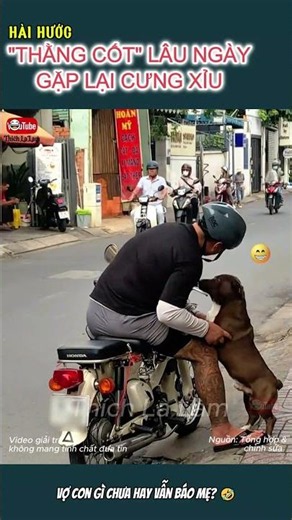 "THẰNG CỐT" LÂU NGÀY GẶP LẠI CƯNG XỈU 😂🐶 | #thichlalam #chucung #shorts