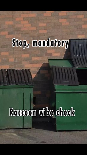 You may enter the dumpster but will you stay? #animation #cartoon #raccoons #meme #drawing