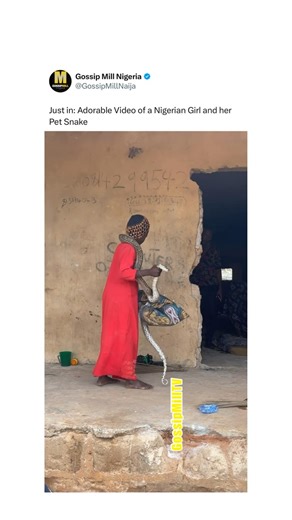 GossipMillNaija on Instagram: "Just in: Adorable Video of a Nigerian Girl and her Gigantic Python Pet Snake!!! 🚴🏿‍♀️🚴🏿‍♀️🚴🏿‍♀️💨 📺 Video credit: Khalifa60007/ TikTok"
