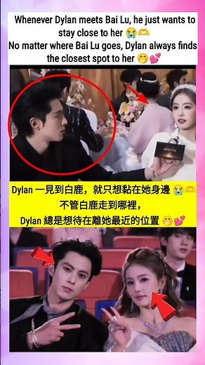 Dylan always wants to stick to Bailu and sit together #bailu #dylanwang