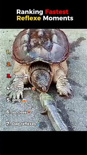 DO NOT CHECK THE SOUND 😭😭