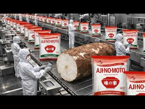 How Ajinomoto MSG Is Made 🧂 Inside The Massive Umami Factory
