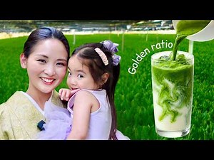 How to Make Perfect Matcha: The Golden Ratio by Ex-Geisha, Japanese Mom