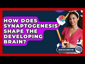 How Does Synaptogenesis Shape The Developing Brain? - Brain Development Hub