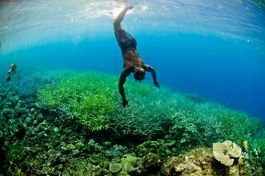 Three Things to Know About the Coral Triangle, the Ocean’s Biodiversity Hot Spot