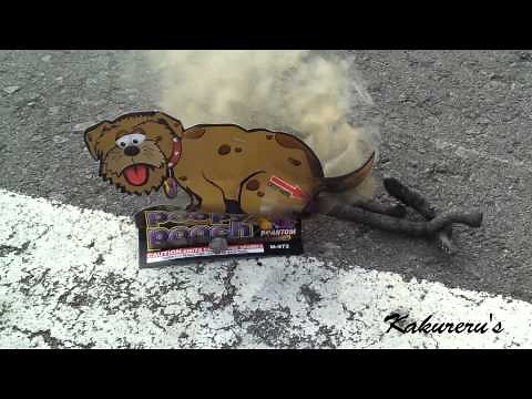 pooping dog firework - poopy pooch, poopy pup