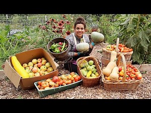 Largest Garden Harvest of 2022!