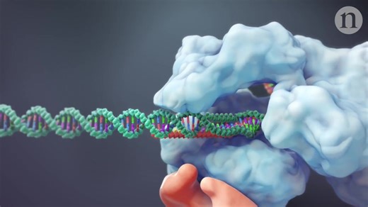 Nature Video: CRISPR: Gene editing and beyond - YouTube搬运 - 英文字幕