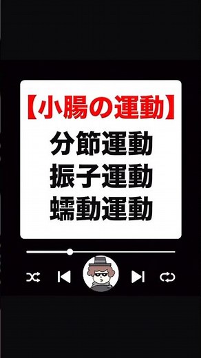 分節運動・振子運動・蠕動運動の違い#ゴロー