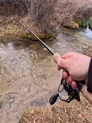 Mastering Rainbow Trout Fishing Techniques