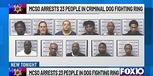 MCSO arrests 29 in what it calls active criminal dog fighting ring