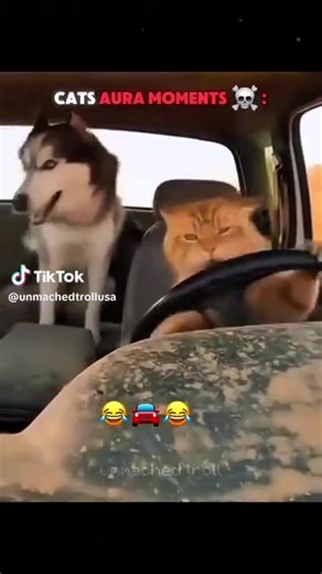 Tutash (@tuutash)’s videos with original sound - Tutash