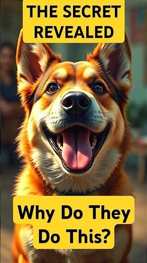 Why Do Dogs Wag Their Tails?The Secret Meaning! #Dog #canine_Behavior #wags_explained #wagging_tails