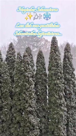 Magischer Schneefall ✨🌬️❄️ Winterruhe ❄️ hypnotic snowfall ❄️ cozy vibes ✨ #shorts