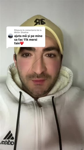 Ca răspuns pentru @Mister Shadow #alex_lion_team #urmaritori #promo TikTok