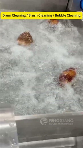 Powerful Mud Removal! Automatic Taro Washing Line#foodmachinery