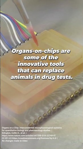 Animal-free science isn't a dream for the future—it's already here 👏