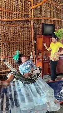 Giường băng tránh nóng #giaitri #haihuoc #funny #tuncuibap #mientay #WindNet