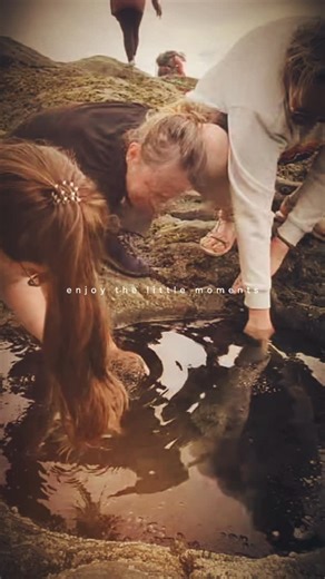 ℍ𝕚𝕜𝕖𝕣𝕓𝕒𝕓𝕖𝕤- Women hiking 🥾 & Adventure 🏔 on Instagram: "Remember to enjoy the little moments in life, like stopping to look in a tide pool while on a beachside hike! #hikerbabes #hikerbabesorg100 #hikerbabesrock #hikingislife #pnw #outdoorwomen #hikinggoals #adventurebabes #trailsisters"