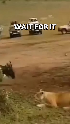 4.4K reactions · 212 shares | Sometimes you gotta just go for it… | Blake Webber | Facebook