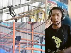 80K views · 2.5K reactions | AB HORMAT JURI.. Reviews KACER KUAT SUMATERA BARAT modal bacot doang  Reviews KACER anak BAWANG om Wan Chas Payakumbuh Sumatera Barat.. #reviewskacer #reviewskicaumanianusantara #rawatankacer #kacerprestasi #kacermbagong #sorymodalbacotdoang #kacermanianusantara #muraibatumania #rawatanmuraibatu #pyp #fbpro #rellpro #recomed #kicaumaniajawa #kicaumaniakalimantan #kicaumaniasumatera #muraibatumania | Tony Dewa | Facebook