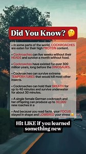 32K views · 214 reactions | Incredible Facts About Cockroaches #facts #fblifestyle | Time Facts | Facebook