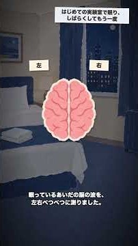 はじめての場所で眠れない夜、脳の一部が見張り番をしている理由。一回目の夜だけ、左の脳の一部が浅く眠っていました【おやすみ心理学】