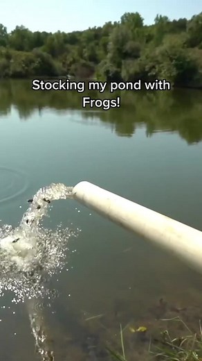 Helping our bass grow! | Andrew Flair