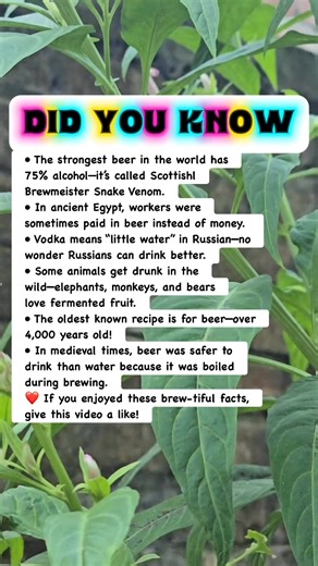 618K views · 5.9K reactions | Insane Beer Facts You’ll Want to Tell Your Friends! #facts | Devlop Express | Facebook