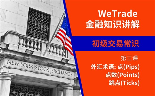 初级交易常识：3. 点(Pips)、点数(Points)和跳点(Ticks)