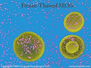 Liposome Basics-Part two