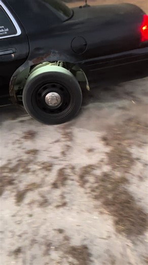 #fyp #viral #fypシ #dig #pimprig | Dig Bar