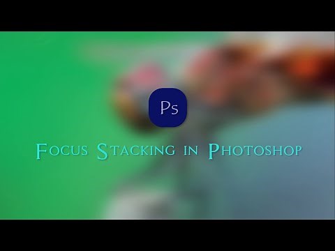 Focus Stacking: How to Stack Photos in Photoshop
