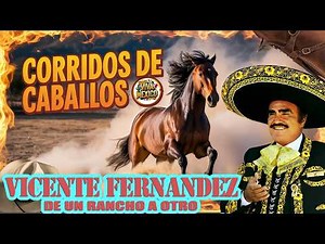 Vicente Fernández: Los Corridos de Caballos más Gallardos (Mix de Oro) 👑