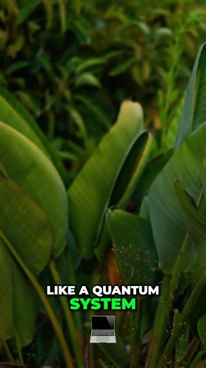 This Quantum Discovery Broke Everything We Knew About Consciousness #Shocking #Science