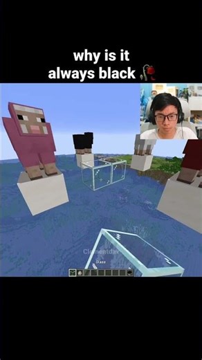 Minecraft Wolf Moment