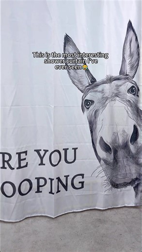 Funny Shower Curtain for a Unique Bathroom Experience