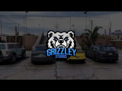 [FIVEM SCRIPT] [$1 Menu] Chicago License Plates